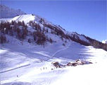 Alpi